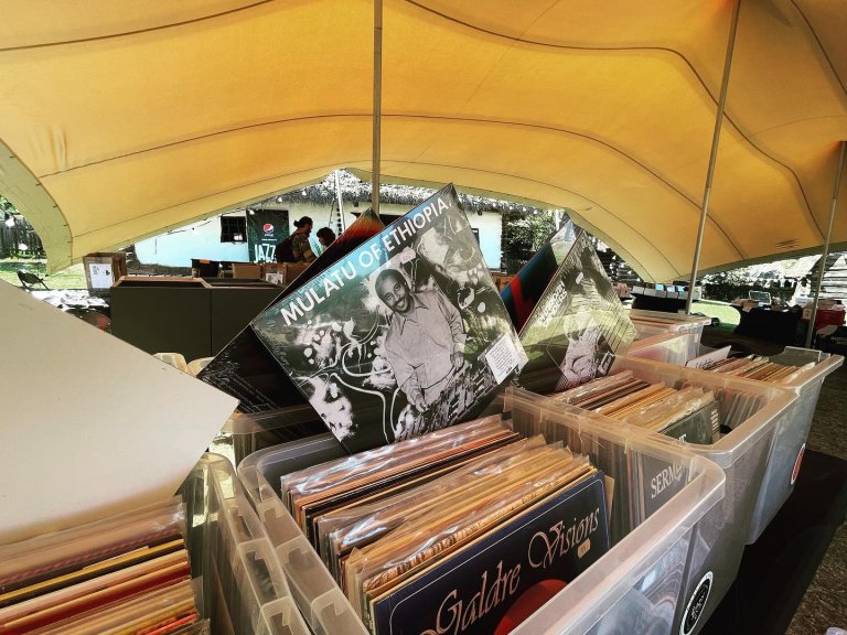 Vinyl Fair la Jazz in the Park, Parcul Etnografic „Romulus Vuia”, 2023