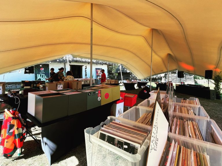 Vinyl Fair la Jazz in the Park, Parcul Etnografic „Romulus Vuia”, 2023